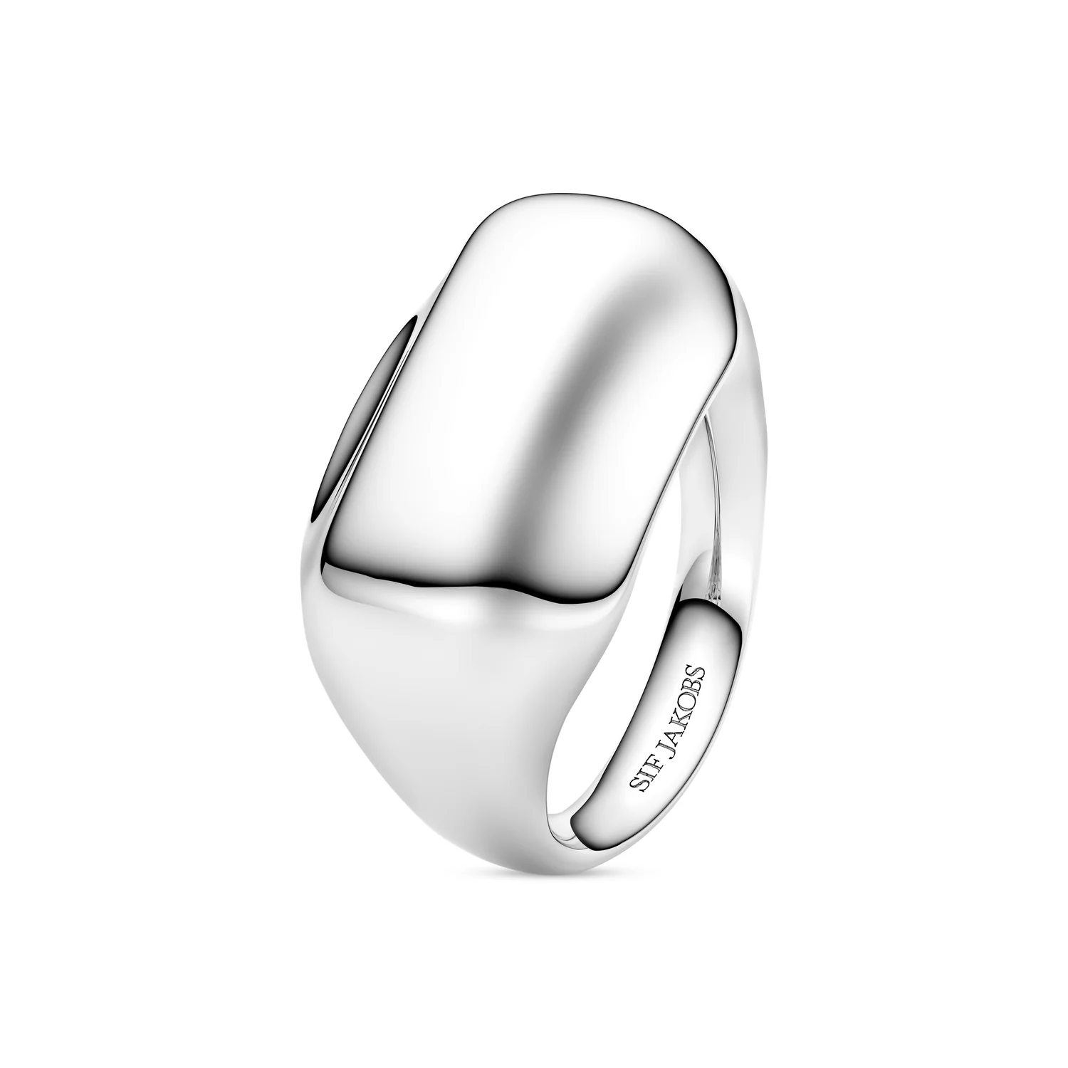 Ring Borsa Pianura - Image 3